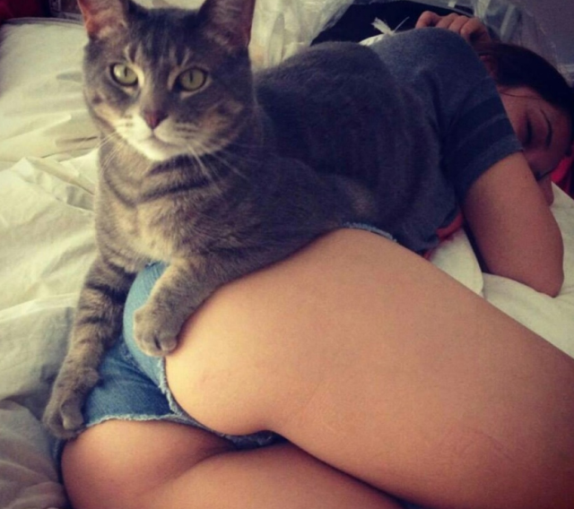 cat-protecting-butt-in-jean-shorts
